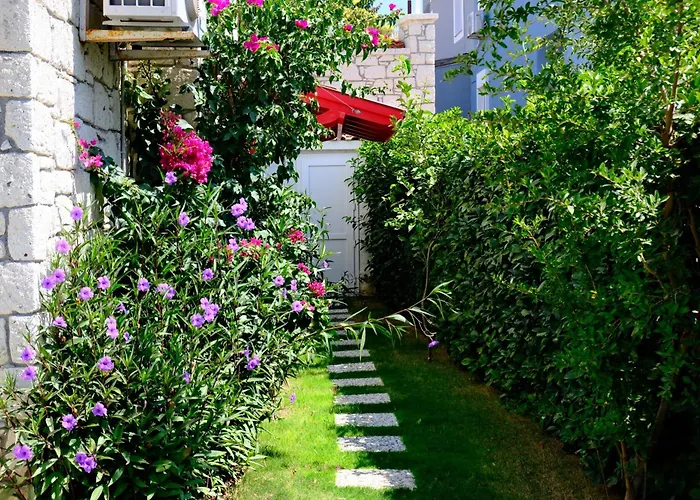 Villa Evalacati-villa Palma-netflix Joy