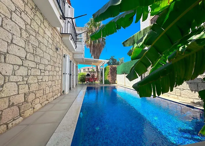 Evalacati-villa Palma-netflix Joy Villa