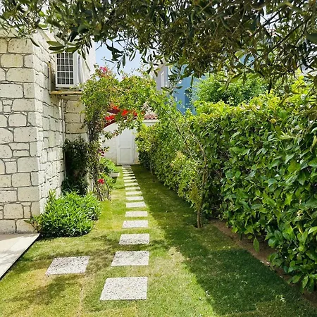 Evalacati - Palma-tamamen Muestakil Cesme