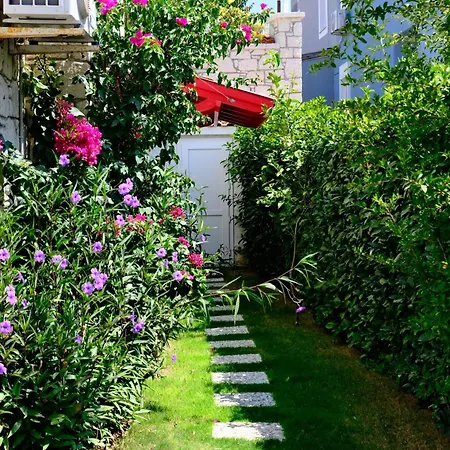 Villa Evalacati-villa Palma-central With Private Pool&garden