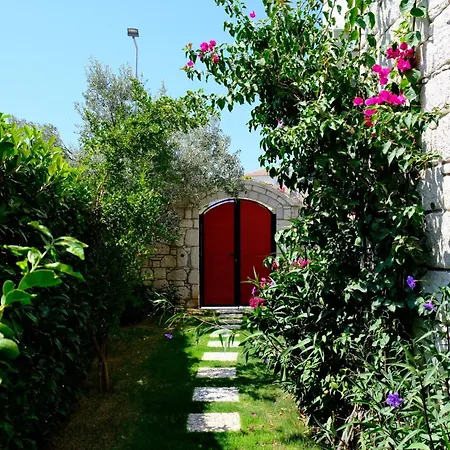 Evalacati-villa Palma-central With Private Pool&garden Villa *