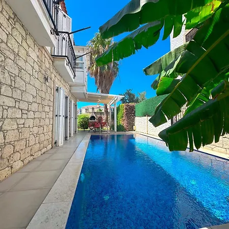 Evalacati-Villa Palma-Netflix Joy ヴィラ